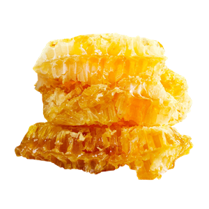 Honey PNG-86360